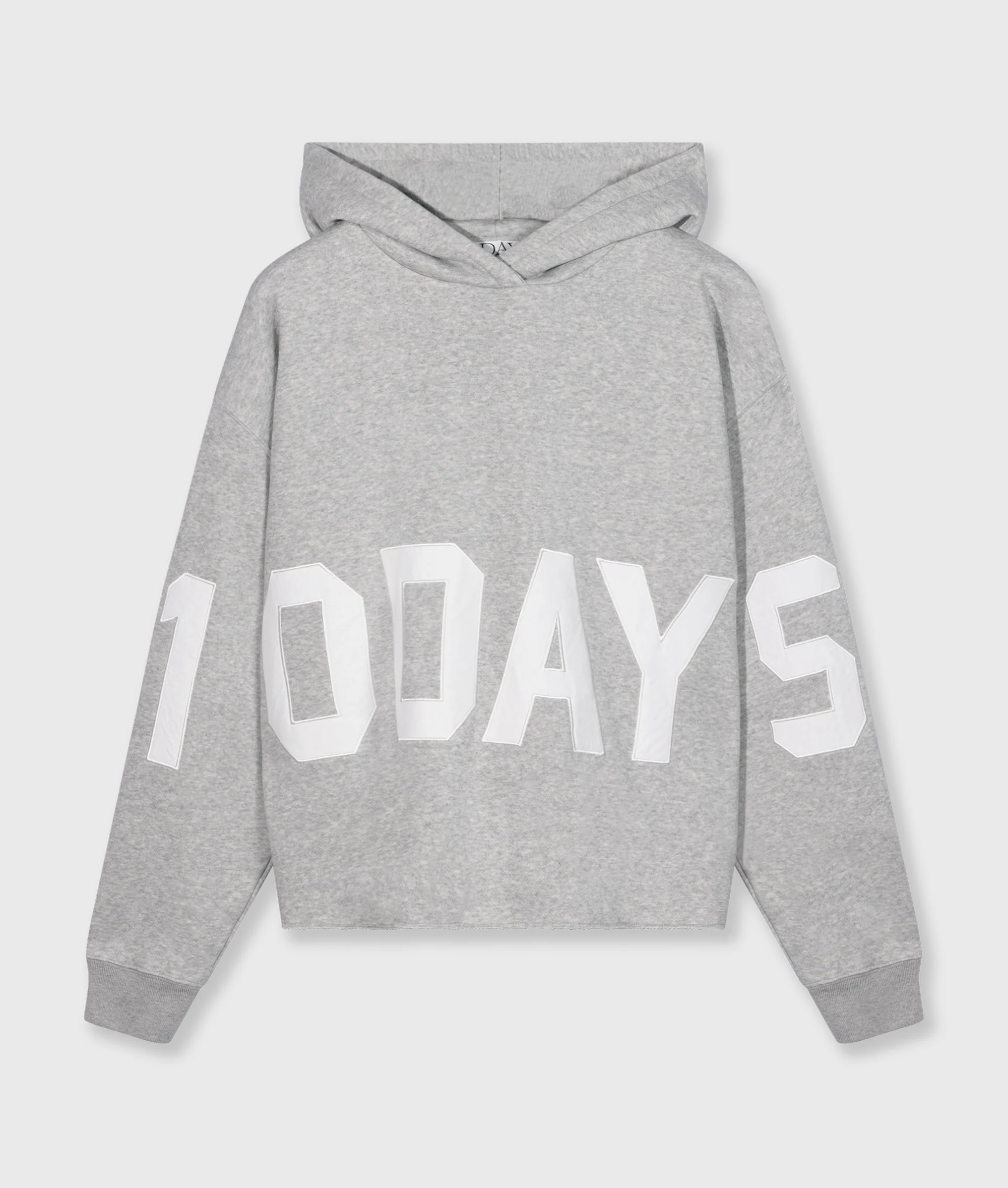 THE STATEMENT LOGO HOODIE | light grey melee - Image 6